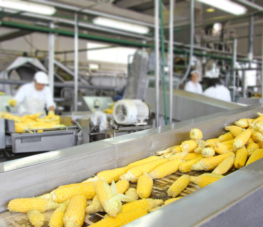 Agri-Food and Beverage Sector Contributions to York Region’s Economy