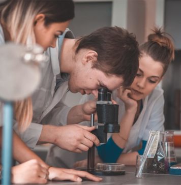 Brampton Invests in a Tech-Focused Future
