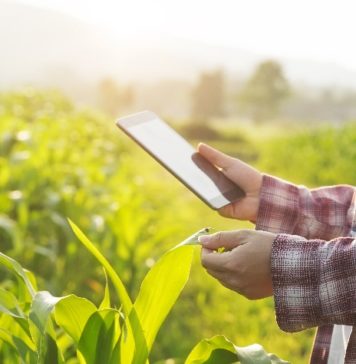 10 Reasons why Food – Bev Manufacturing is King in Brandon Manitoba brandon manitoba food and beverage sector invest in canada perspective