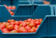 perspective agriculture food processing invest in canada