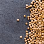 saskatchewan is a world leader in plant protein lentils dried peas chickpeas