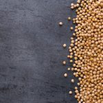 saskatchewan is a world leader in plant protein lentils dried peas chickpeas 2018