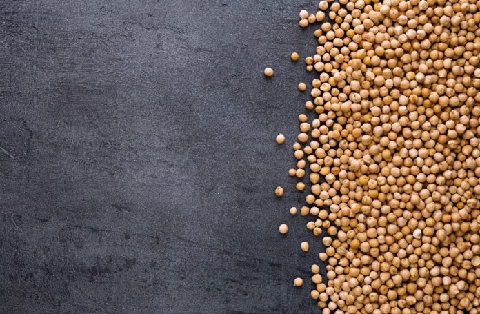 saskatchewan is a world leader in plant protein lentils dried peas chickpeas 2018