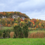 conservation halton perspective burlington globe and mail