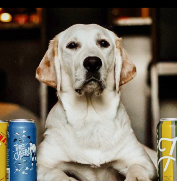 Craft Brewer Taps Into New Ways To Deliver In Guelph fixed gear brewing guelph