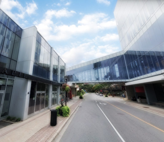 RIC centre Perspective Brampton Globe and Mail 2020