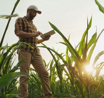 Revolutionizing Canadian Agriculture: FCC and Area X.O’s Enhanced Partnership Powers the Ottawa Smart Farm