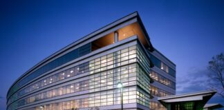 mississauga economic development